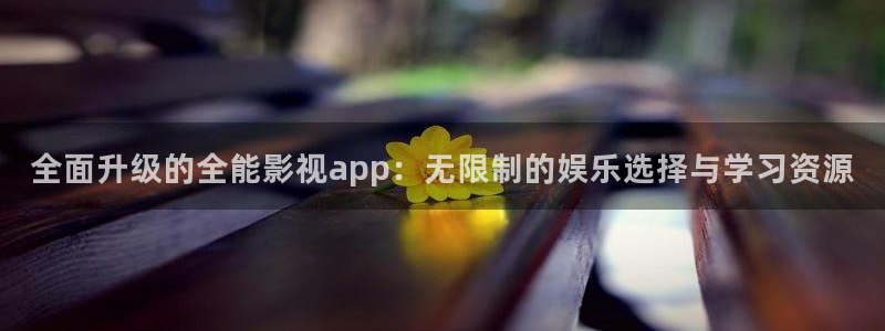 窝窝看片大全：全面升级的全能影视app：无限制的娱乐选择与学习资源