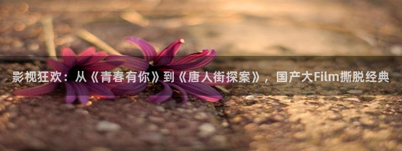 窝窝mm影院：影视狂欢：从《青春有你》到《唐人街探案》，国产大Film撕脱经典