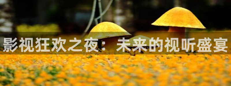 窝窝影院下载：影视狂欢之夜：未来的视听盛宴